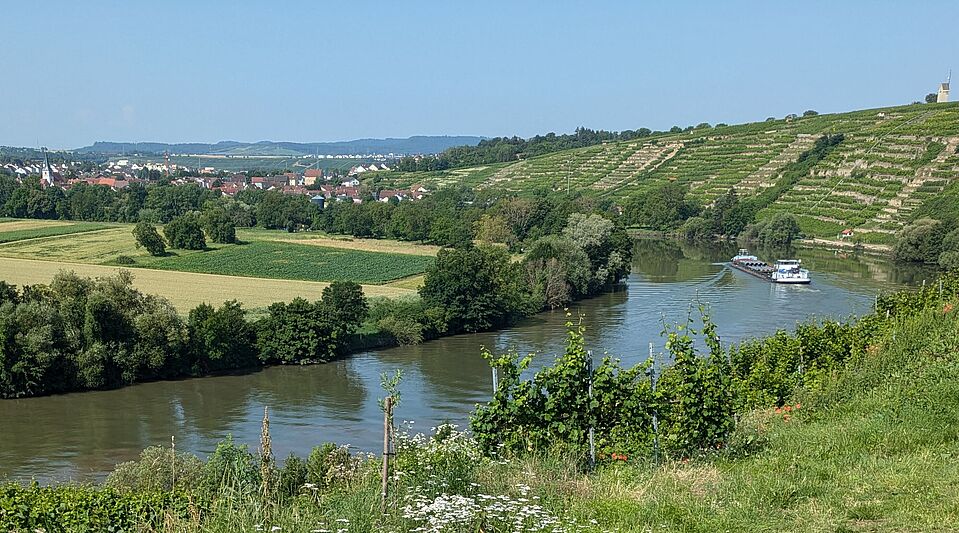 Kirchheim am Neckar - Neckarschleife Neckarschleife bei Kirchheim am Neckar